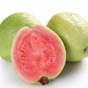 Taiwan Pink Guava