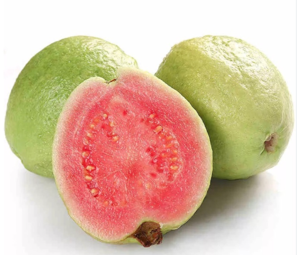 Taiwan Pink Guava