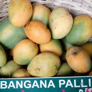 Banganapalli Mango