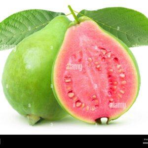Taiwan Red Guava