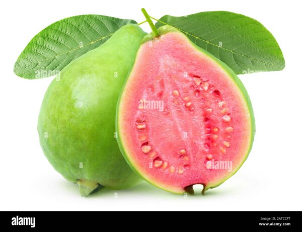 Taiwan Red Guava