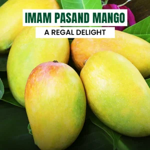 Imam Pasand Mango