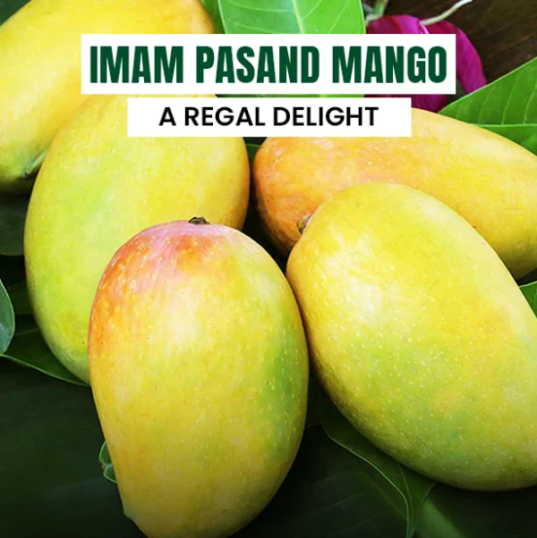 Imam Pasand Mango